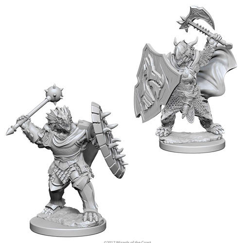 D&D Nolzur's Marvelous Miniatures: Unpainted Minis- Wave 4- Dragonborn Male Paladin