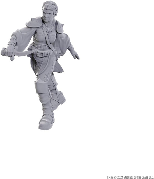 D&D Nolzur's Marvelous Miniatures: Unpainted Minis- Wave 25- Swashbuckler