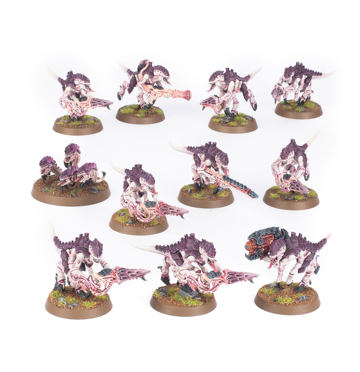 Tyrandis -Termagants