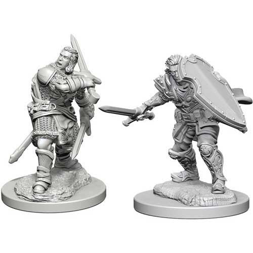 D&D Nolzur's Marvelous Miniatures: Unpainted Minis- Wave 3- Human Male Paladin
